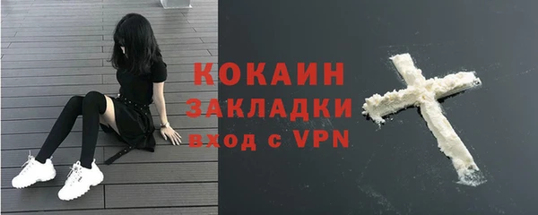 2c-b Гусев