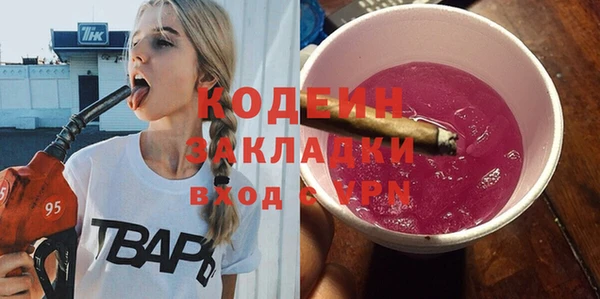 2c-b Гусев
