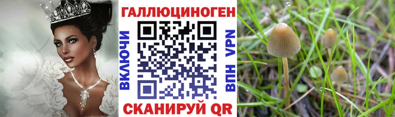 Купить закладки  Минусинск  Галлюциногенные грибы ЛСД 